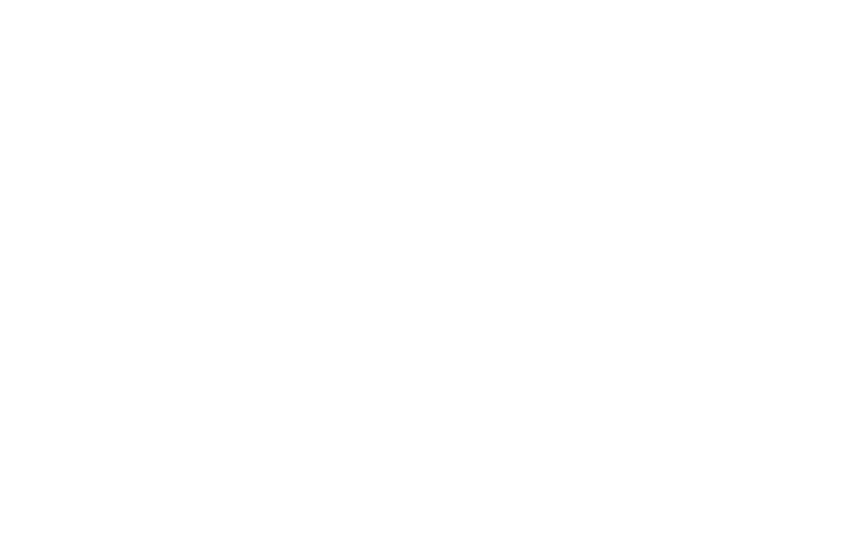 logo One Plus